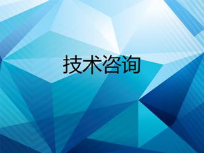 技術(shù)咨詢 數(shù)字化轉(zhuǎn)型的關(guān)鍵助力